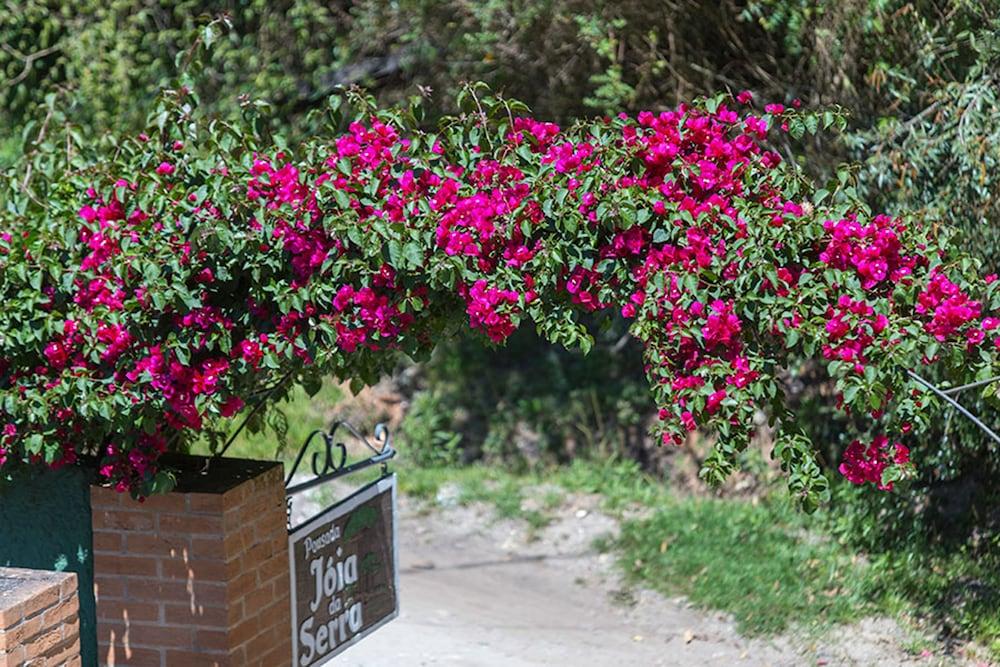 Pousada Joia Da Serra By Hotel Platanus Campos do Jordão エクステリア 写真